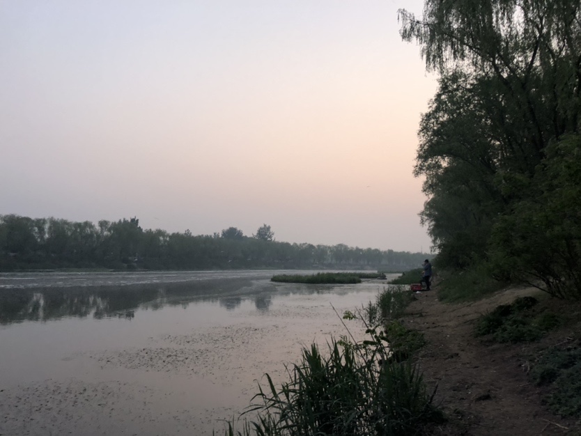 漫天遍野风飘絮，上庄夜钓耍银鲫