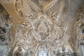 世界十大瘟疫启示,世界大瘟疫