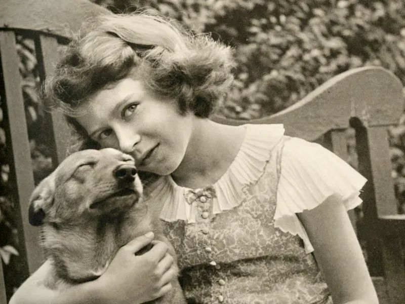 终于找到满眼都是你的狗子了,终于找到同类的哈士奇