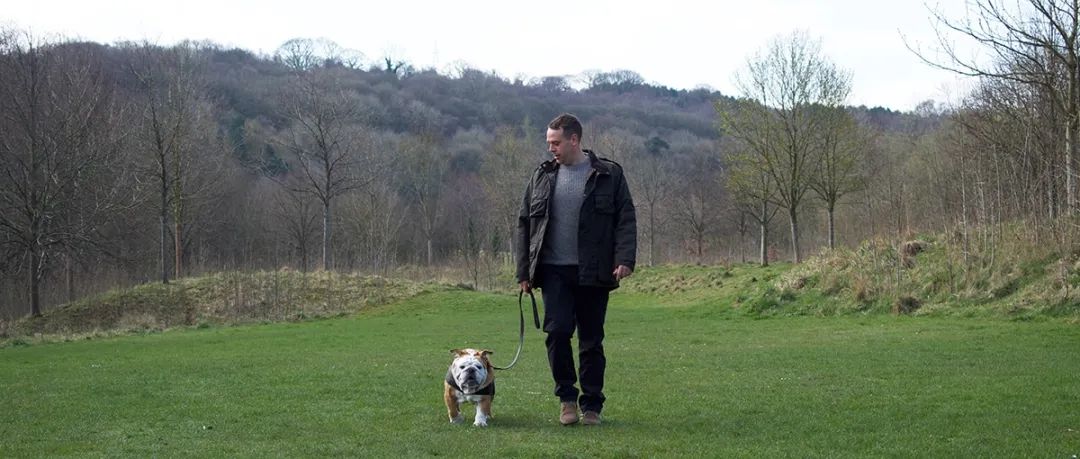 终于找到满眼都是你的狗子了,终于找到同类的哈士奇