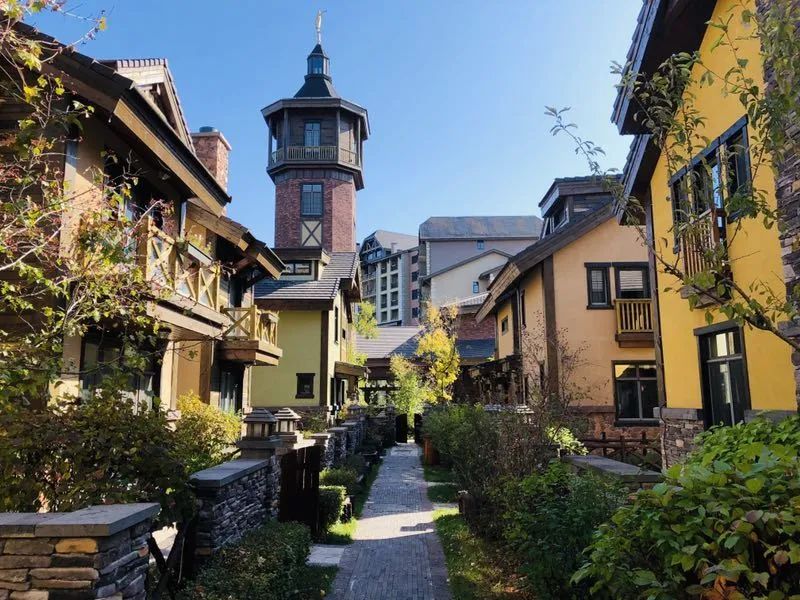 松鼠窝客栈长白山,松鼠专用窝保暖木屋