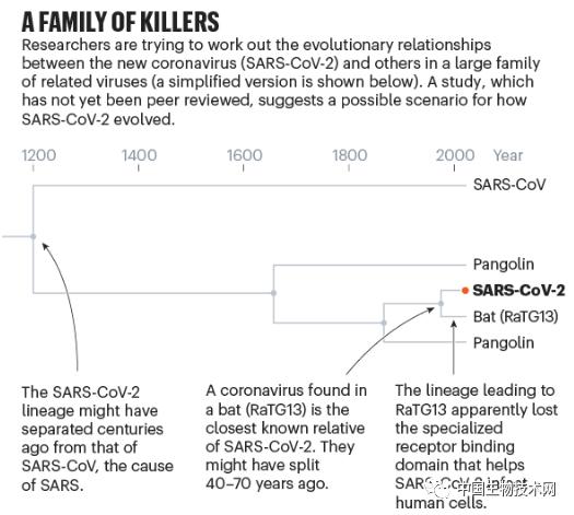 解读最新新冠病毒,nature关于新冠的文章名字