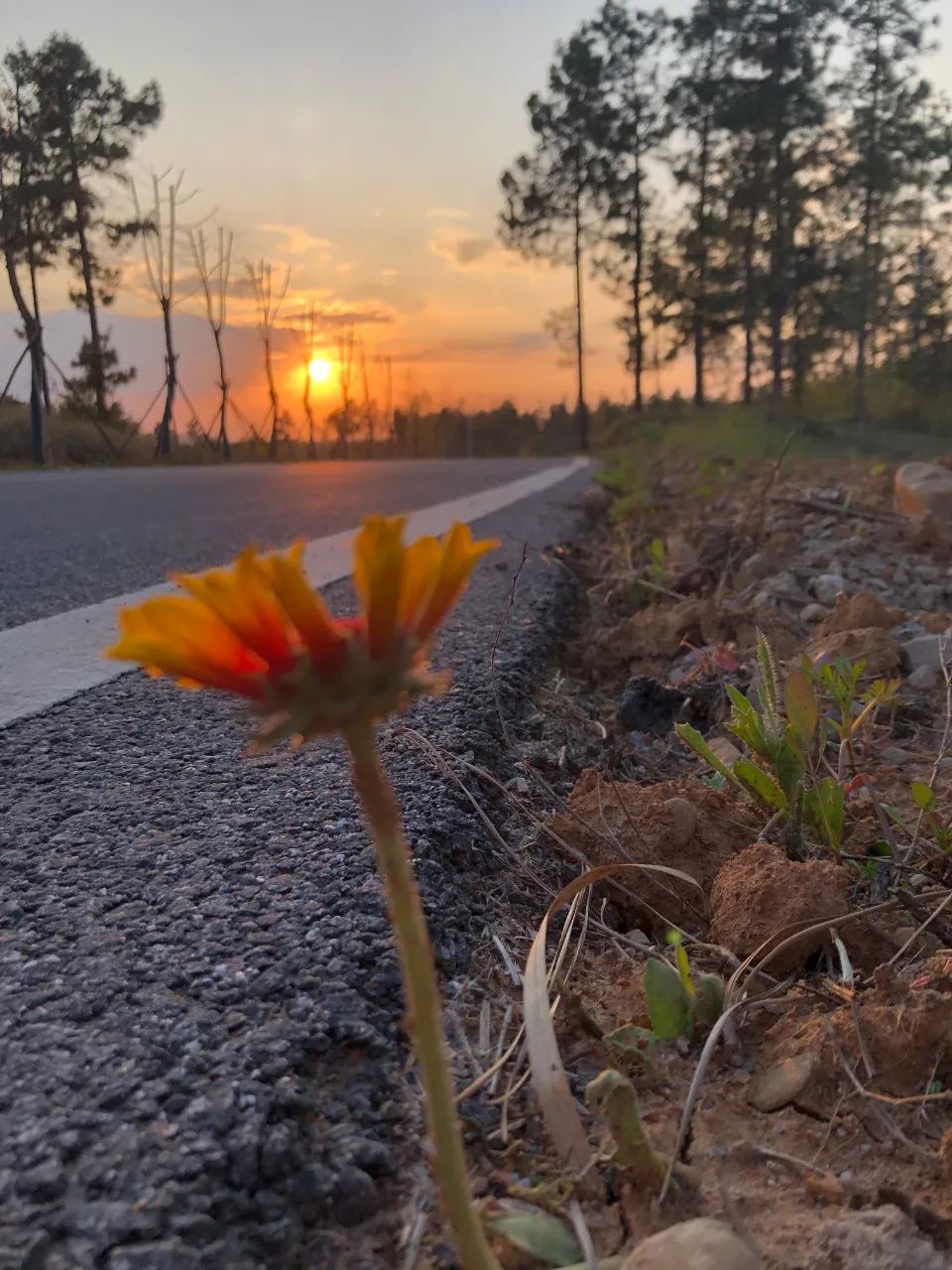 浅谈劳动安全,浅谈劳动教育1600字