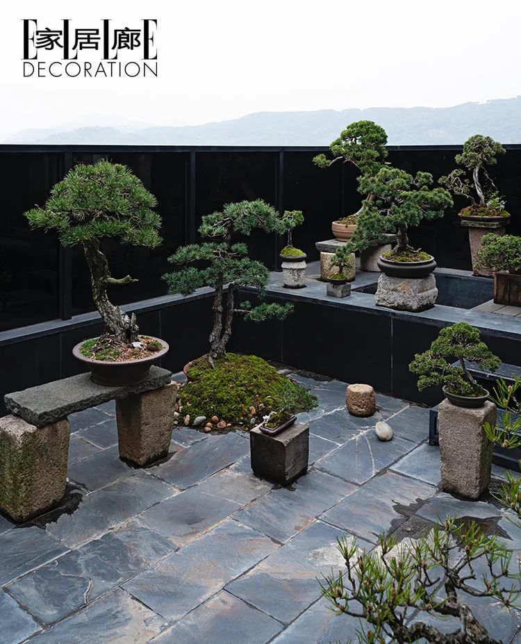 他在温州的山里，造一座京都茶室