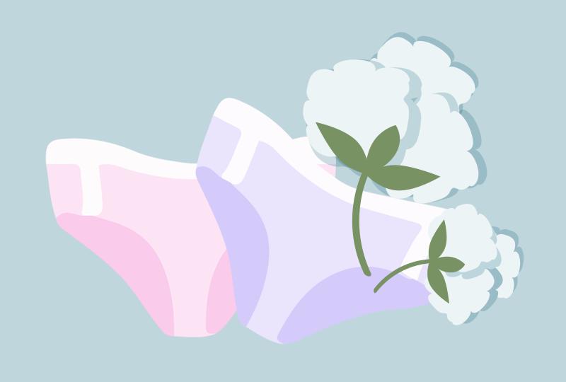 辟谣特工队｜避免妇科病，从了解你的*裤内**开始