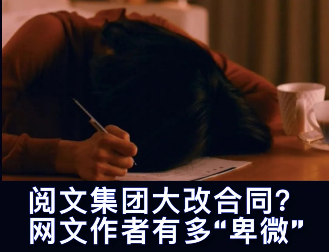 “哆啦”薇娅：站在直播带货的风口