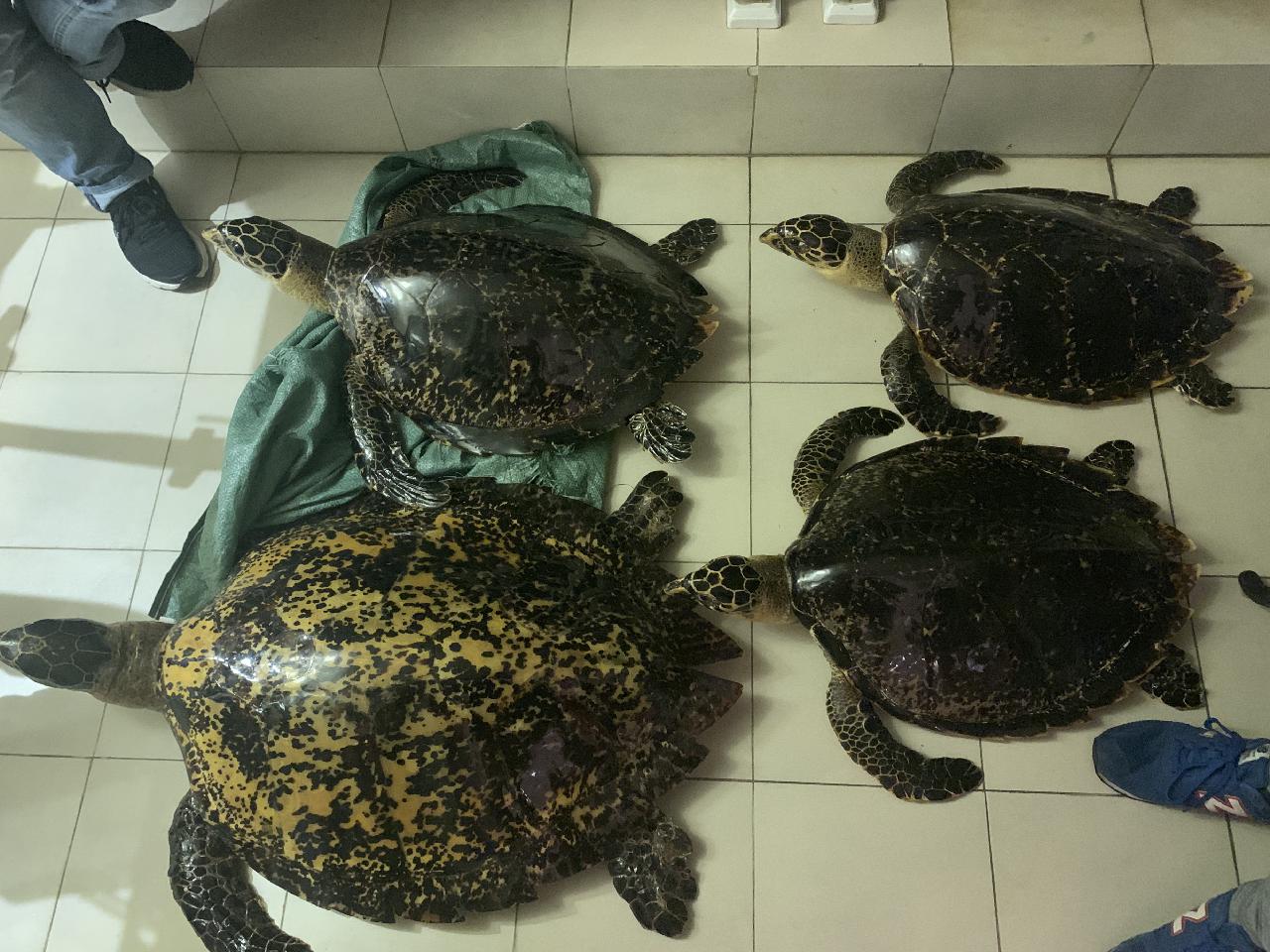 上海警方破获非法收购出售,上海警方破获奢侈品假冒珠宝案