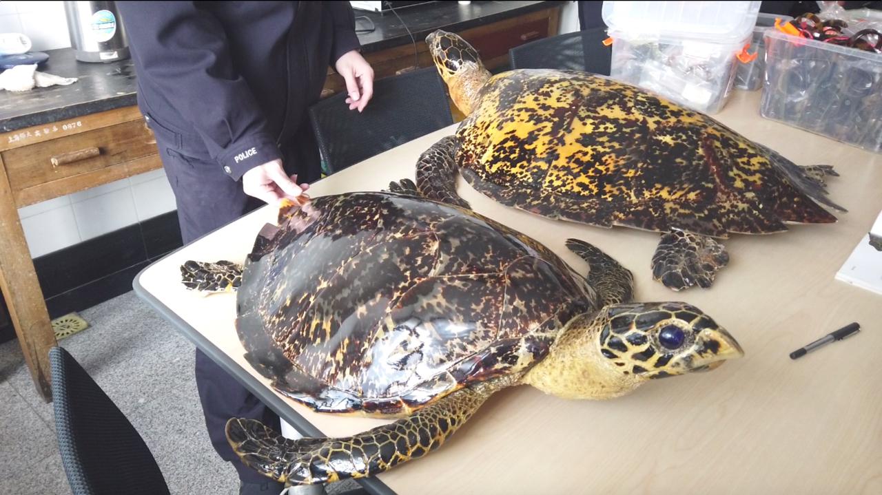 上海警方破获非法收购出售,上海警方破获奢侈品假冒珠宝案