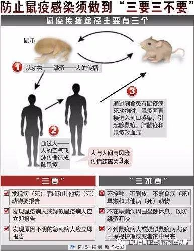 鼠疫宣传短片蒙汉版,鼠疫防治知识宣传手册