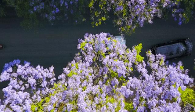 不如就回去昆明吧