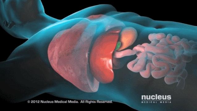 盘点医院各大科室侵入性检查:穿刺、内镜各显神通,小活检标本以“小”见“大”