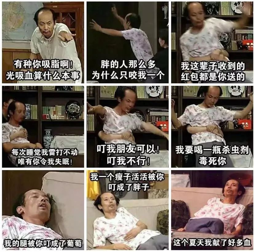 夏天蚊子越来越多了别用蚊香灭蚊,灭蚊团