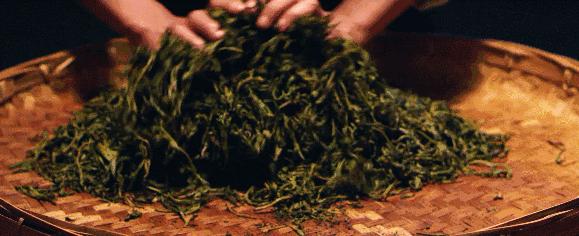 说起重口味,你赢不了俄罗斯人