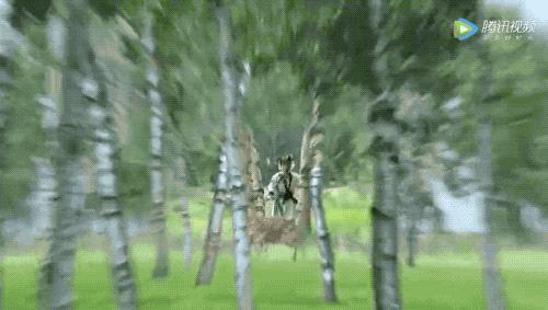 鍙よ鐢靛奖閲岀殑鐢ㄨ吙灏勭,鍙よ鐢靛奖灏勭鍔ㄤ綔