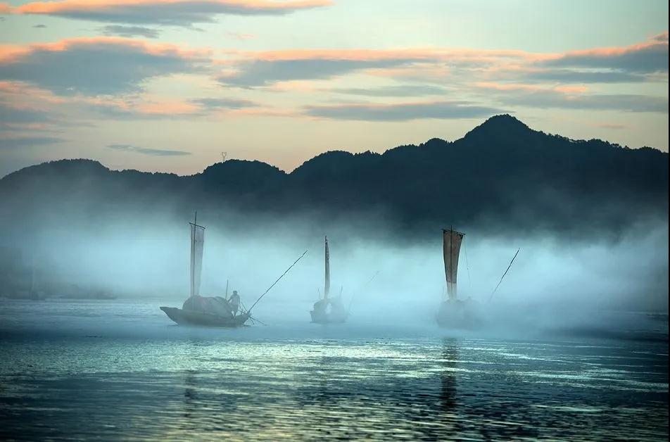 2019年7月20日丽水新闻,丽水新闻快讯