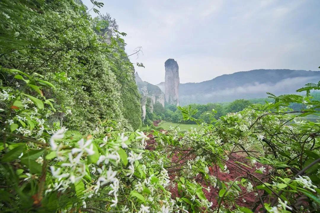 2019年7月20日丽水新闻,丽水新闻快讯