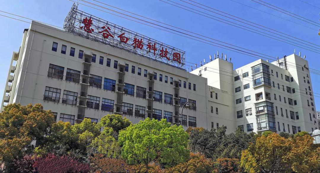 请比对!透过这些新老照片让你“穿越”长宁……