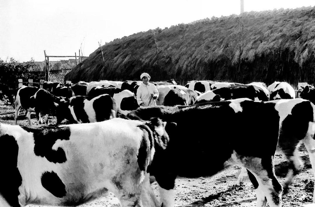 巴黎春天天山,巴黎春天重新开业