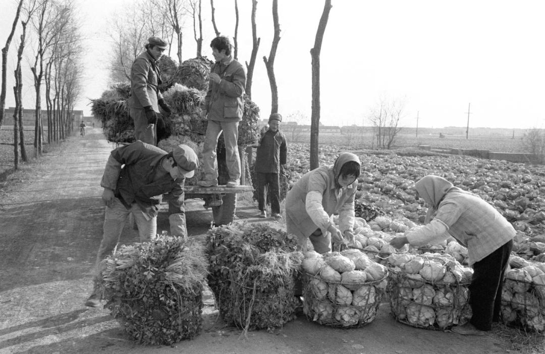 请比对!透过这些新老照片让你“穿越”长宁……