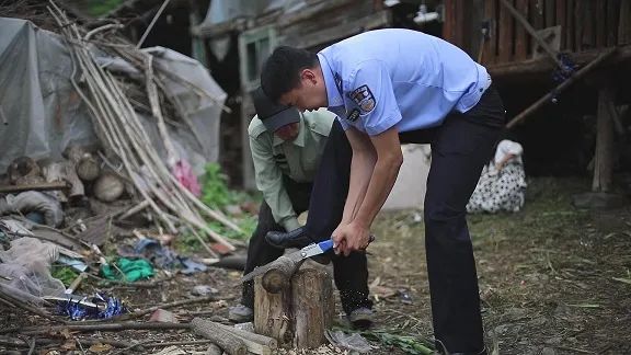 哪怕只有50%的机会，我还会毫不犹豫地跳下去……