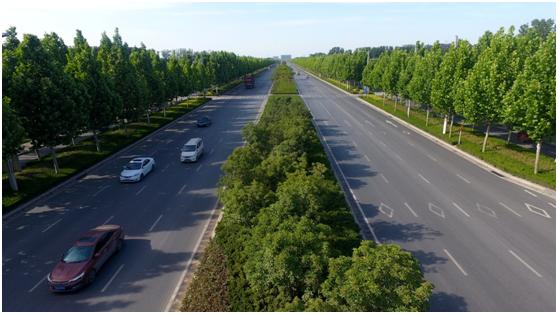 下一个“郑东新区”，带你慧眼识“珠”