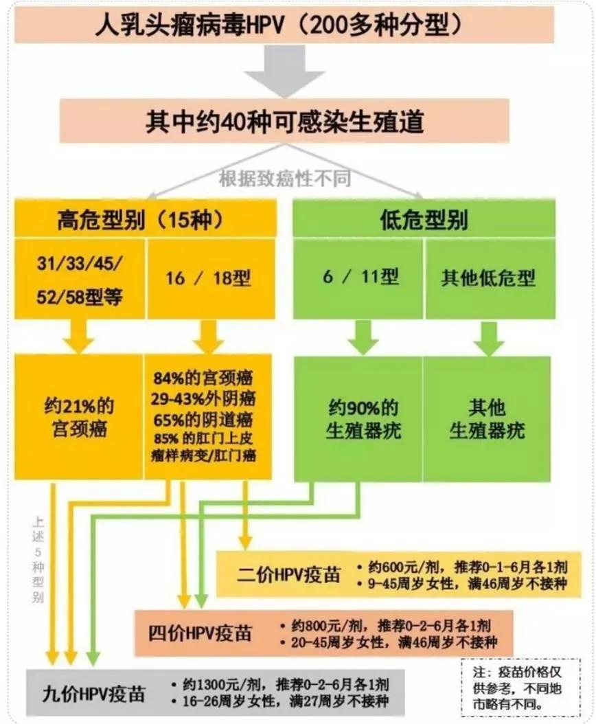 hpv45阳性打宫颈癌疫苗好处,hpv和宫颈癌疫苗是一种吗