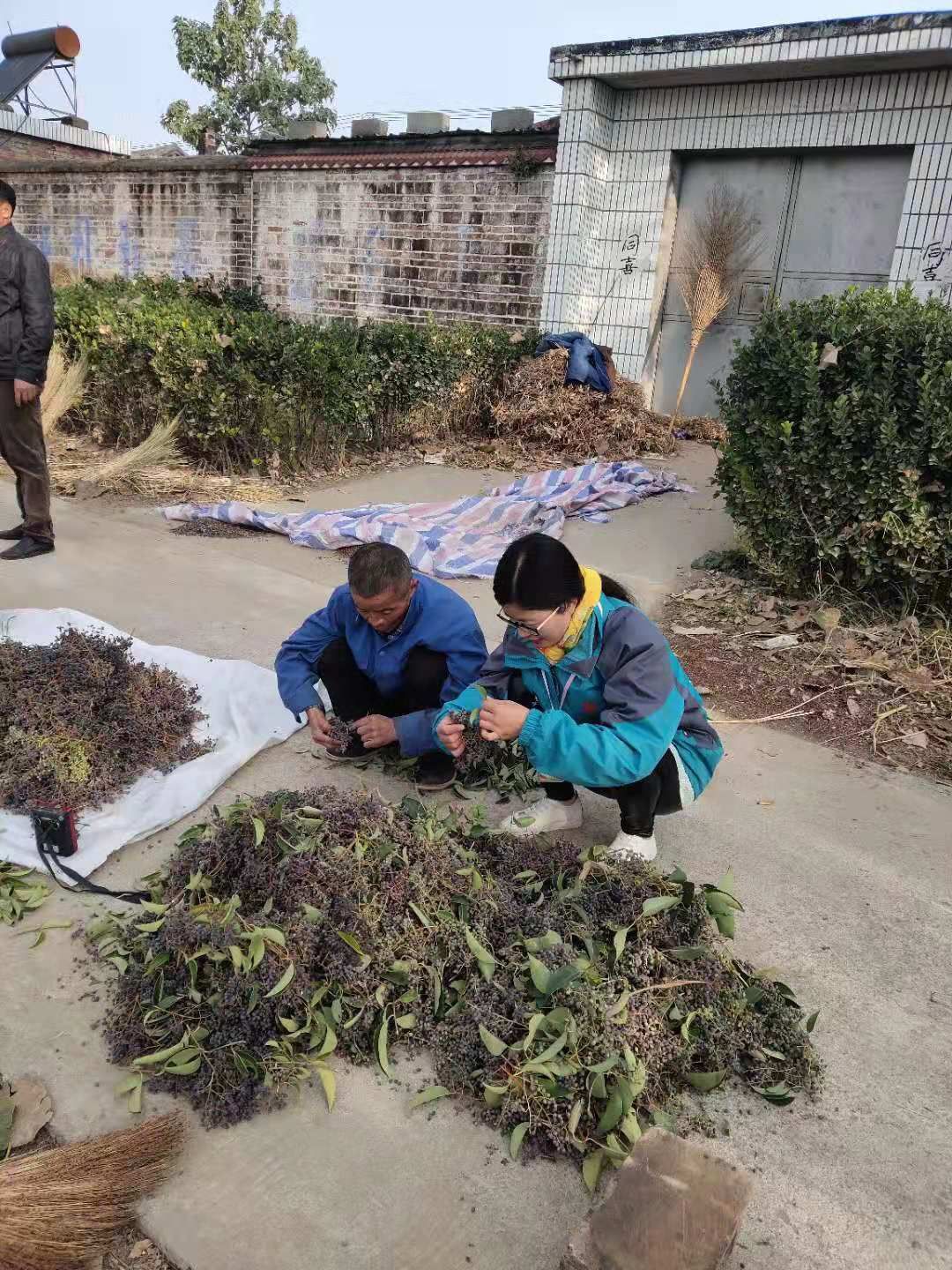 医养结合健康养生,医养结合颐养院