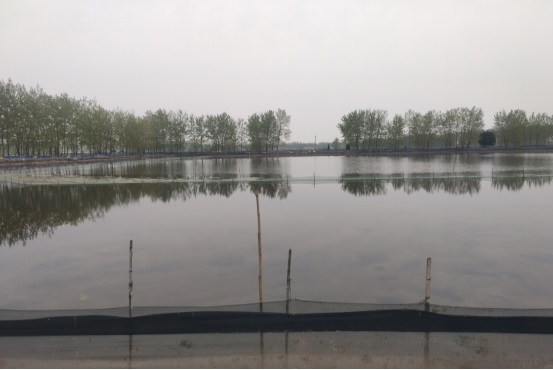 河蟹养殖技术最新,最简单的河蟹养殖