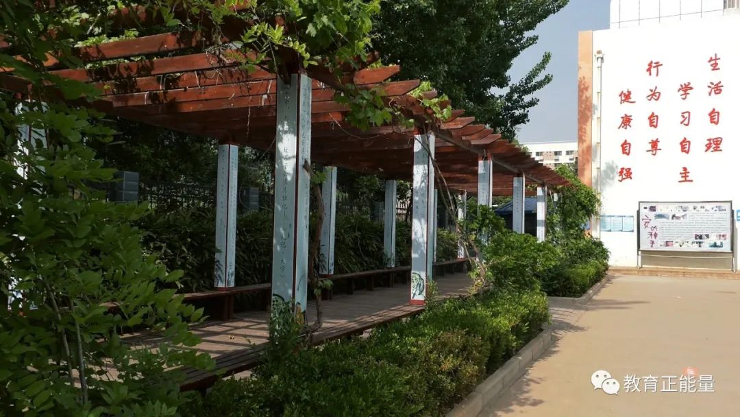 阎良区在西安市教育质量排名,如何推动本地区教育高质量发展