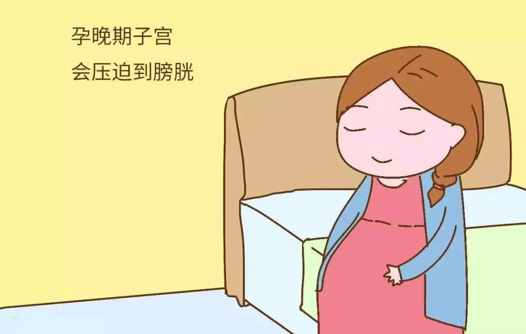 孕期跑厕所频繁怎么办,孕妇便秘尿频怎么办