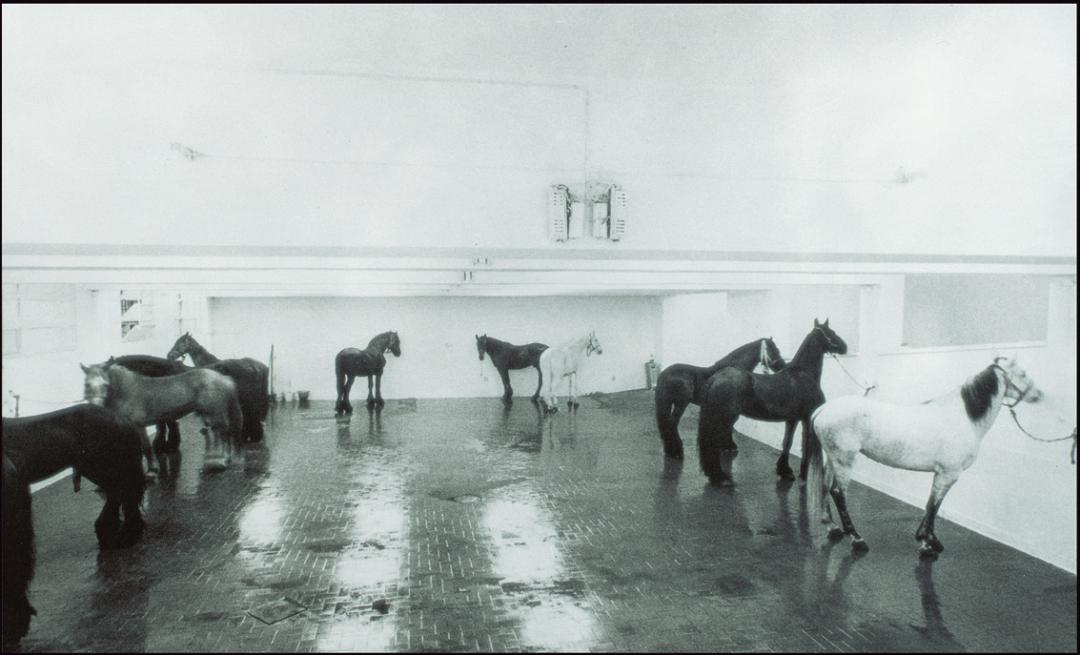 “贫穷艺术”创始人切兰特因新冠去世，这个并不贫穷的艺术运动为何伟大？