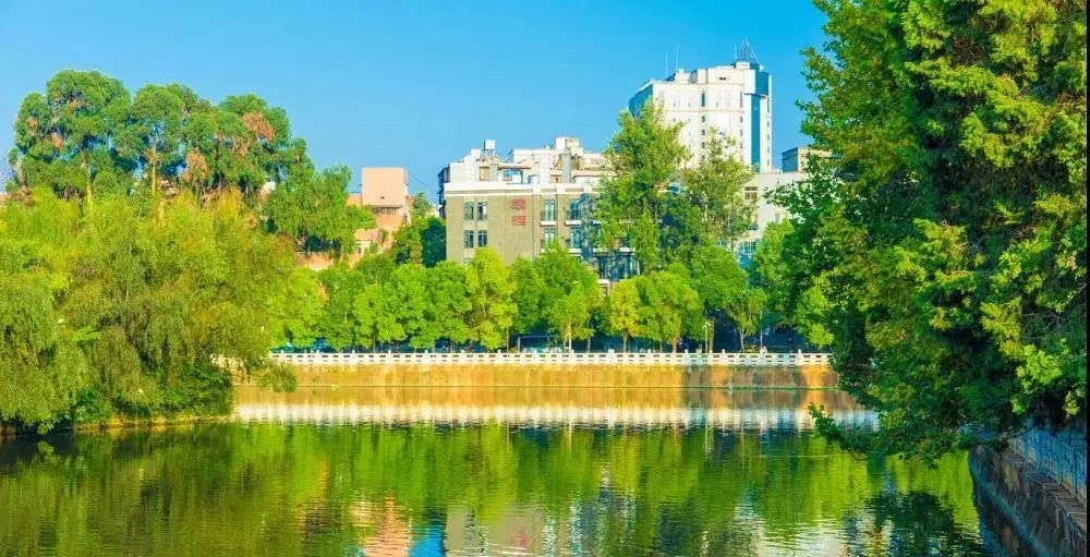 不如就回去昆明吧