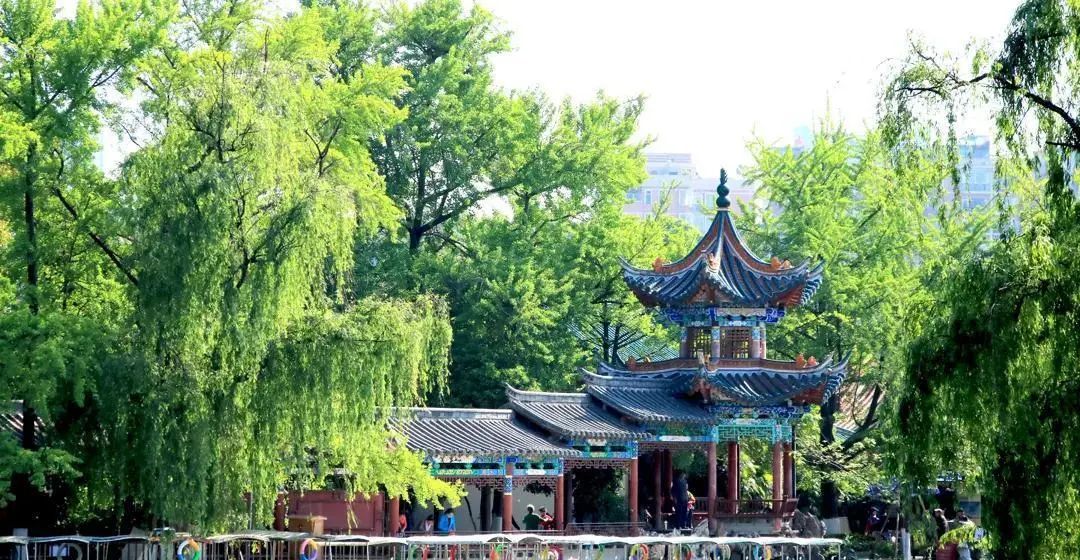 不如就回去昆明吧