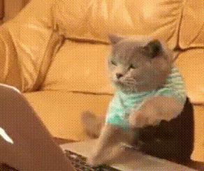 关于性知识真相你了解多少,搜索性知识