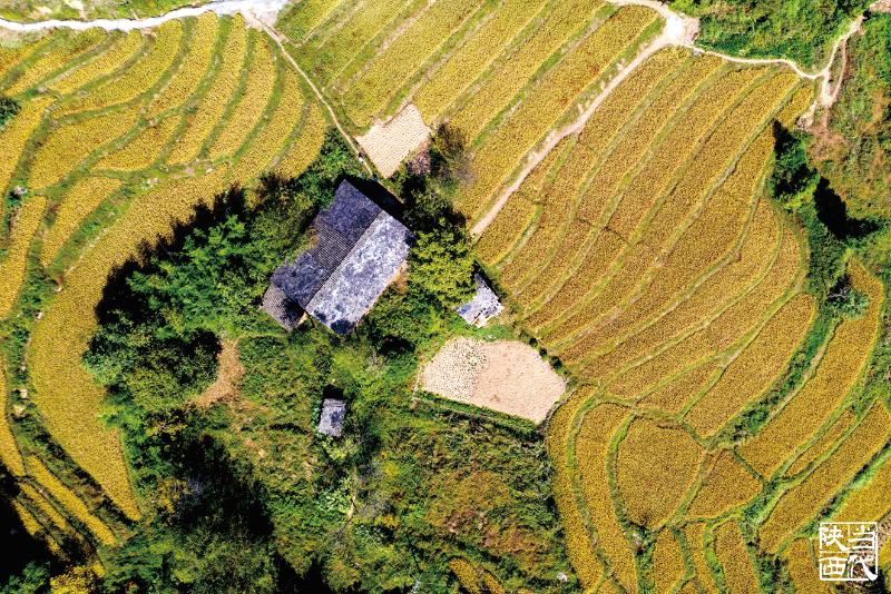 “一肩挑”不是“一言堂”——村干部权大了怎么办?