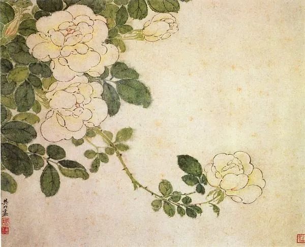 中国月季城市,市花为月季的城市有几个