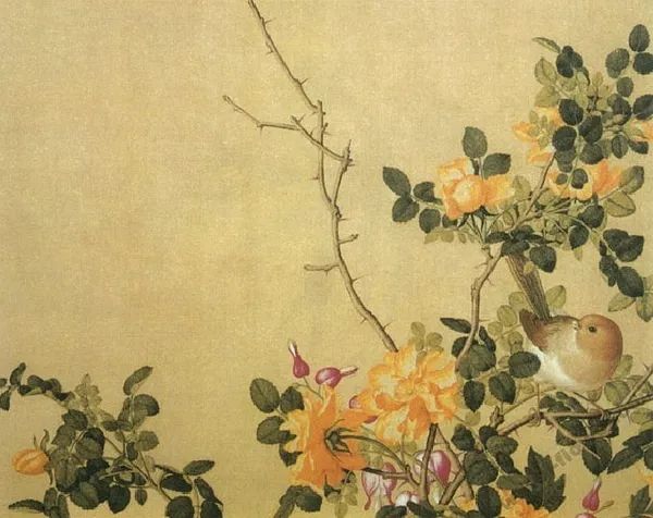 中国月季城市,市花为月季的城市有几个