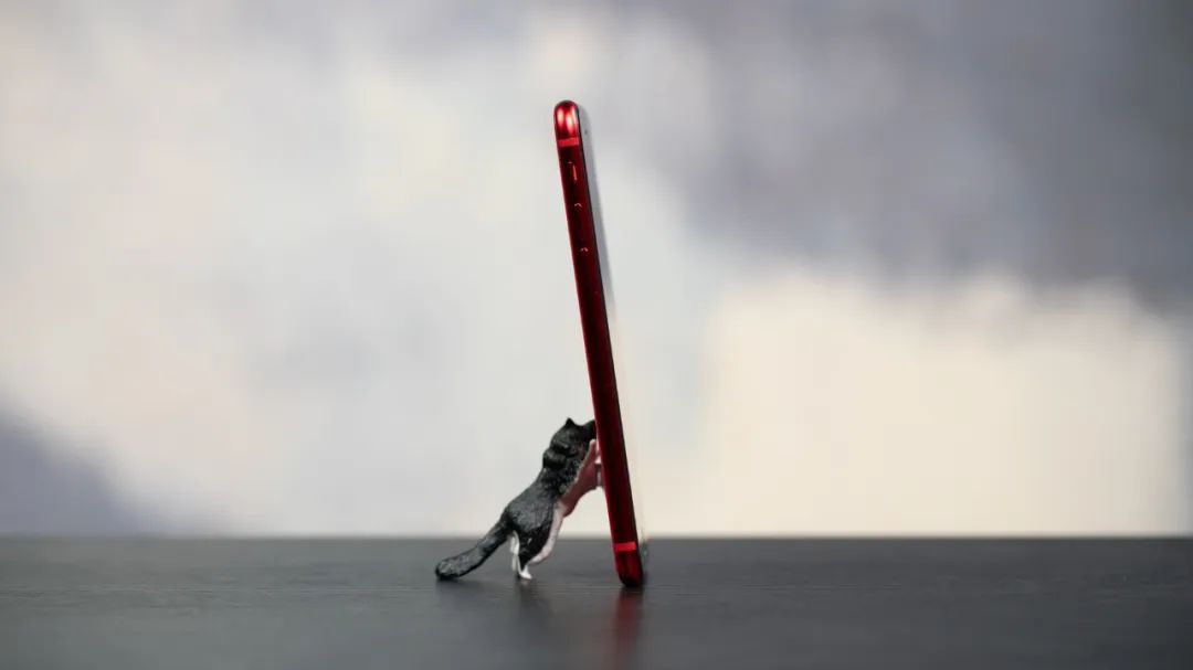 价格便宜点的苹果手机是哪一款,特别便宜的最新款苹果手机