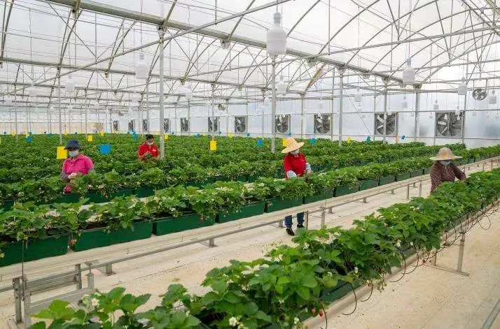 太原十三五期间的发展变化,太原市未来重点发展的五个区域