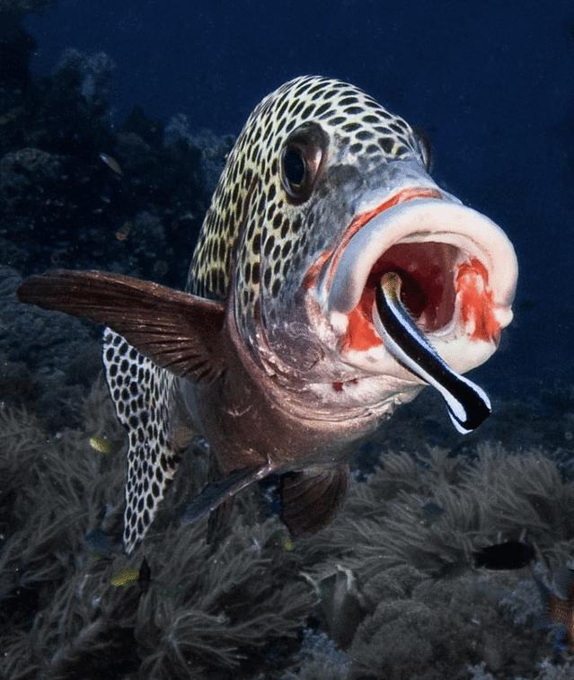 巴拉望科隆岛和爱妮岛旅途,巴拉望爱妮岛科隆岛