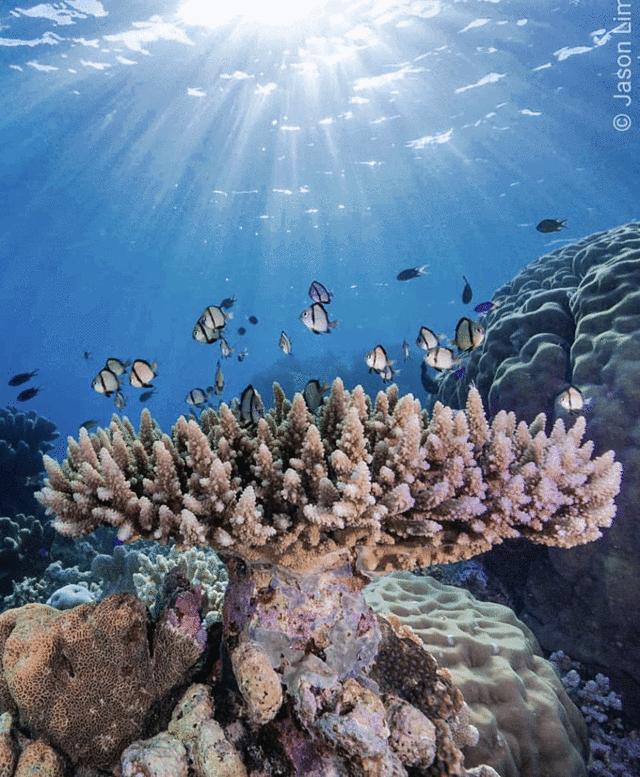 巴拉望科隆岛和爱妮岛旅途,巴拉望爱妮岛科隆岛