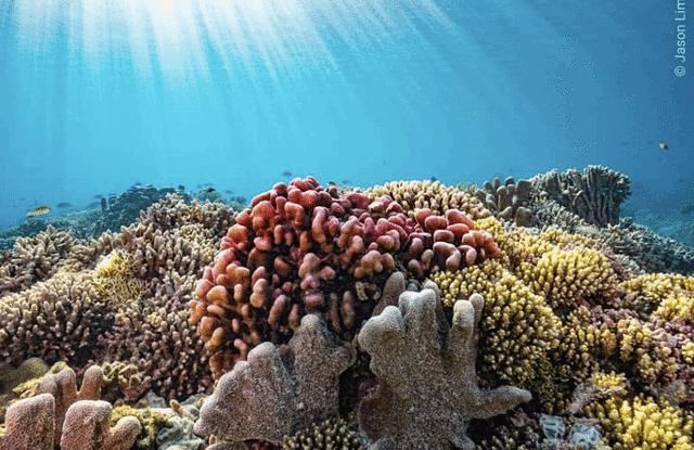 巴拉望科隆岛和爱妮岛旅途,巴拉望爱妮岛科隆岛