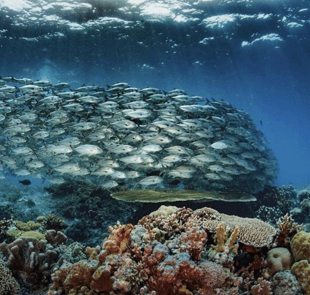 巴拉望科隆岛和爱妮岛旅途,巴拉望爱妮岛科隆岛