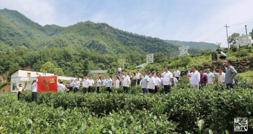 “一肩挑”不是“一言堂“,村干部权大了怎么办?