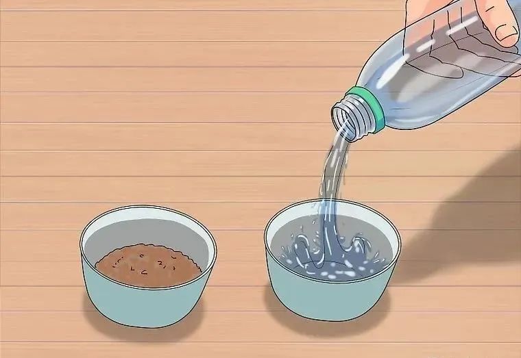 心疼……鸡尾鹦鹉拉稀了,怎么办?