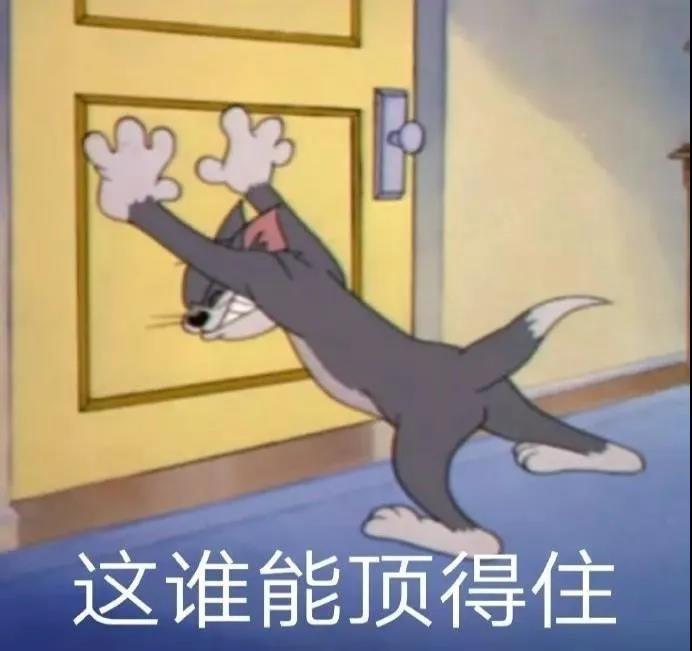 张子枫快跟邓伦学学户外“防黑”秘籍吧