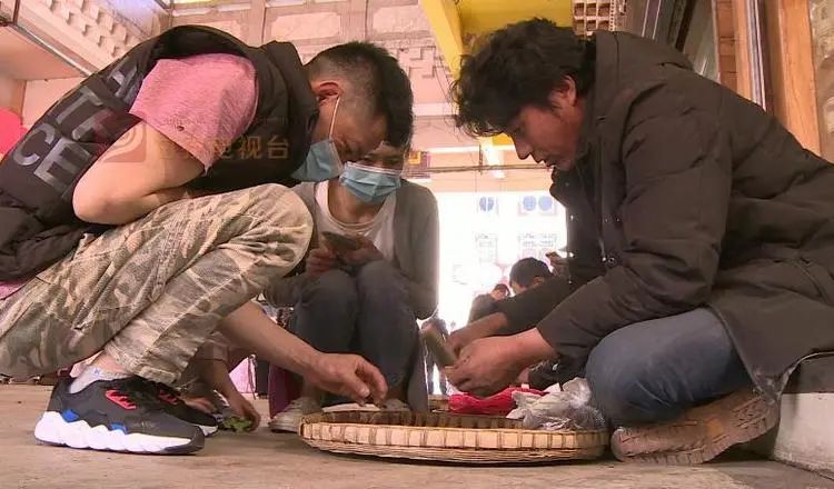 新鲜虫草已上市场，“软黄金”借网出山