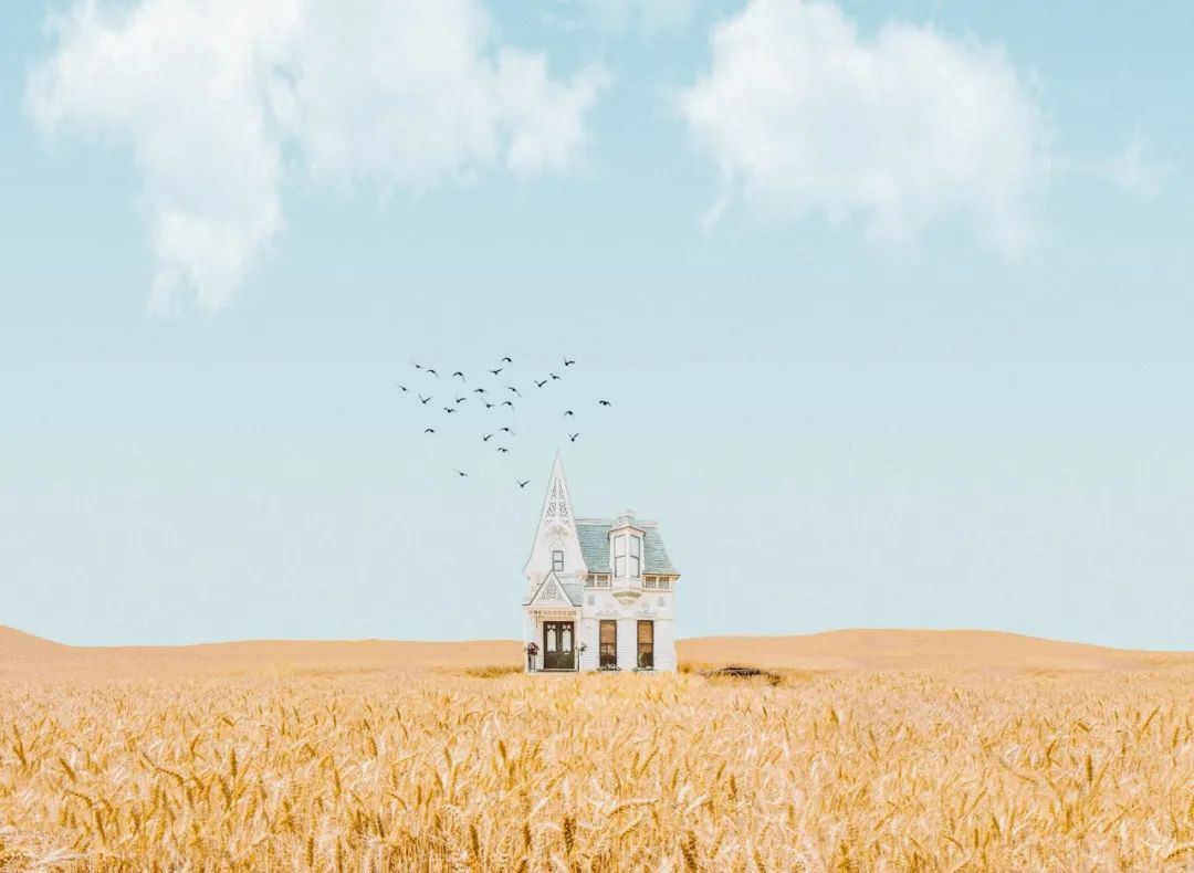 夏天的浪漫句子,温暖简短的浪漫句子