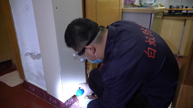 白蚁被惊动了不出现了怎么办,在白蚁纷飞季节家进了白蚁怎么办