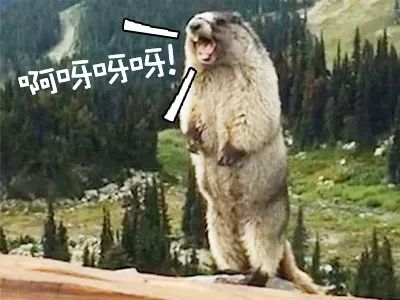 内地第三家！西班牙在成都设立总领事馆！这个浪漫“旅游王国”，有太多值得打卡